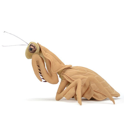 Peluche Mantis de Hoja - Colección Insectos - Image 3