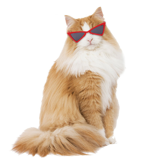 Gafas de Colores Divertidas para Perros y Gatos - Image 2