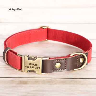 Collar Ajustable para Perros Medianos - Paseos Seguros y Cómodos - Image 3