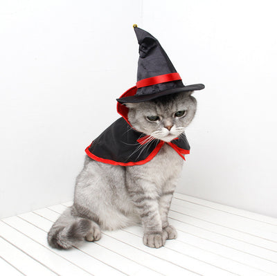 Capa de Santo para Mascotas - Disfraz Halloween Gato y Perro - Image 5