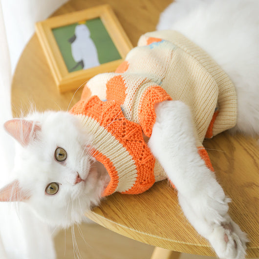 Ropa de Otoño para Gatitos - Control de Muda y Comodidad - Image 4
