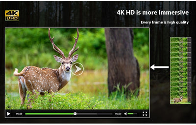 Cámara de Visión Nocturna 4K Full Color con Doble Tubo Infrarrojo - Image 6