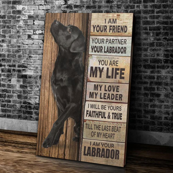 Cuadro en Lienzo: Mi Perro Labrador, Mi Amigo, Mi Compañero