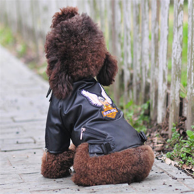 Chaqueta de Cuero con Bordado de Águila para Perros Pequeños - Image 5
