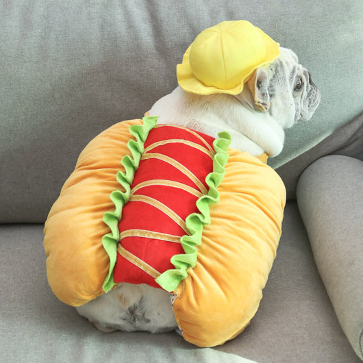 Disfraz Transformador para Perros - Outfit Hot Dog - Image 11
