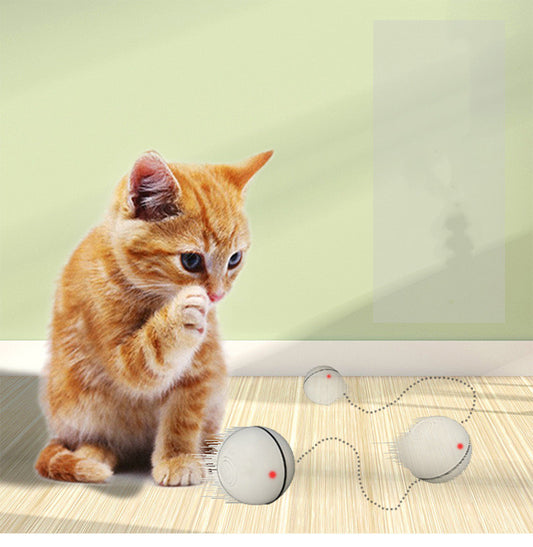 Light green spherical cat toy with a black band, designed for rolling and interactive play.