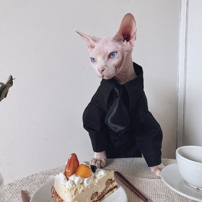 Traje Elegante para Gatos Sphynx y Razas sin Pelo - Image 9