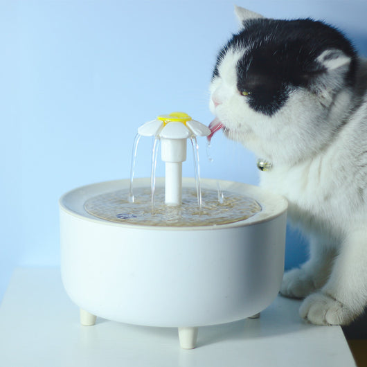 Dispensador Automático de Agua para Mascotas con Filtro Continuo - Image 5