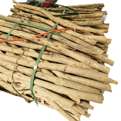 Palo Masticable de Madera de Café para Perros - Image 8