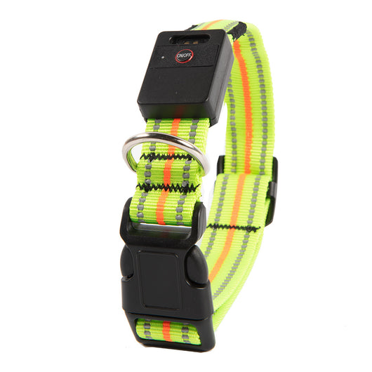 Collar Luminoso para Perro - Image 10