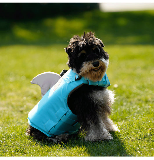 Chaleco Salvavidas para Perros con Aleta de Tiburón - Traje de Baño Deportivo - Image 14