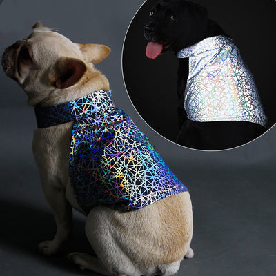 Ropa Reflectante para Mascotas