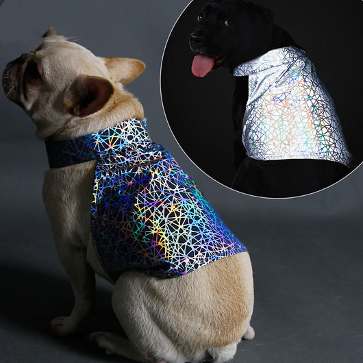 Ropa Reflectante para Mascotas