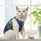 Ropa para Gatos de Otoño - Colección Tropical Hawaiana