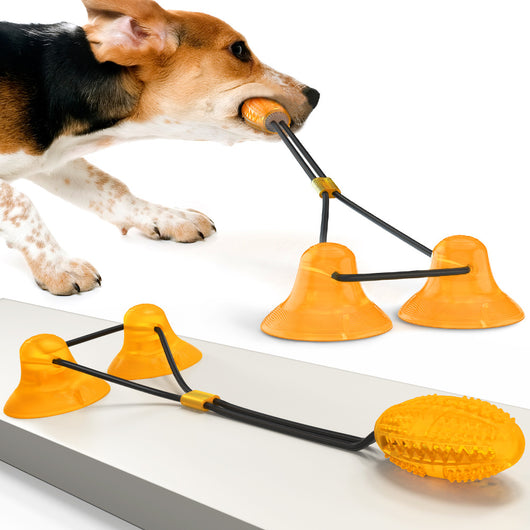 Set de juguetes de goma para perros