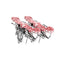 Magic Eye Flying Dragon Rose G