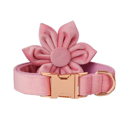 Collar para Perro de Plumón de Ganso con Hebilla Oro Rosa - Image 6