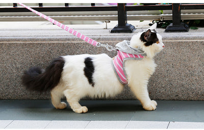 Chaleco arnés para gato con capucha para paseos - Image 5