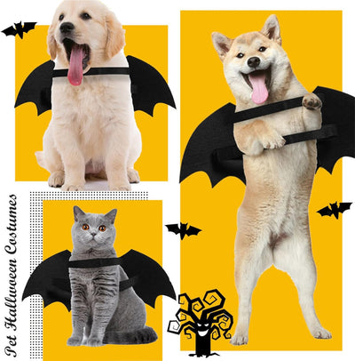 Disfraz de Murciélago Luminoso para Perros y Gatos - Esqueleto Brillante con Alas - Image 7