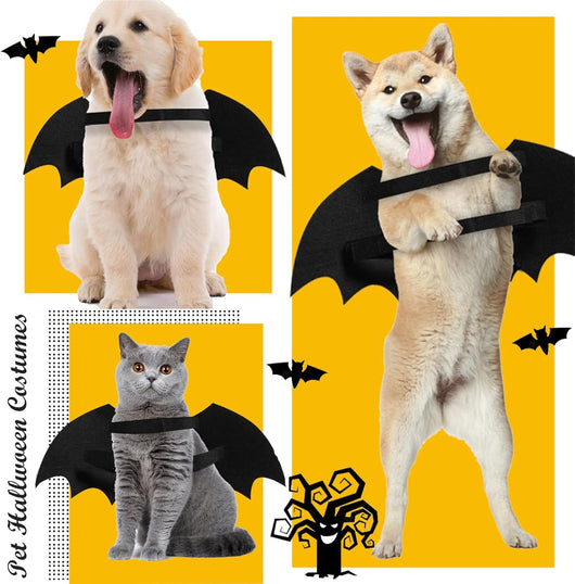 Disfraz de Murciélago Luminoso para Perros y Gatos - Esqueleto Brillante con Alas - Image 7