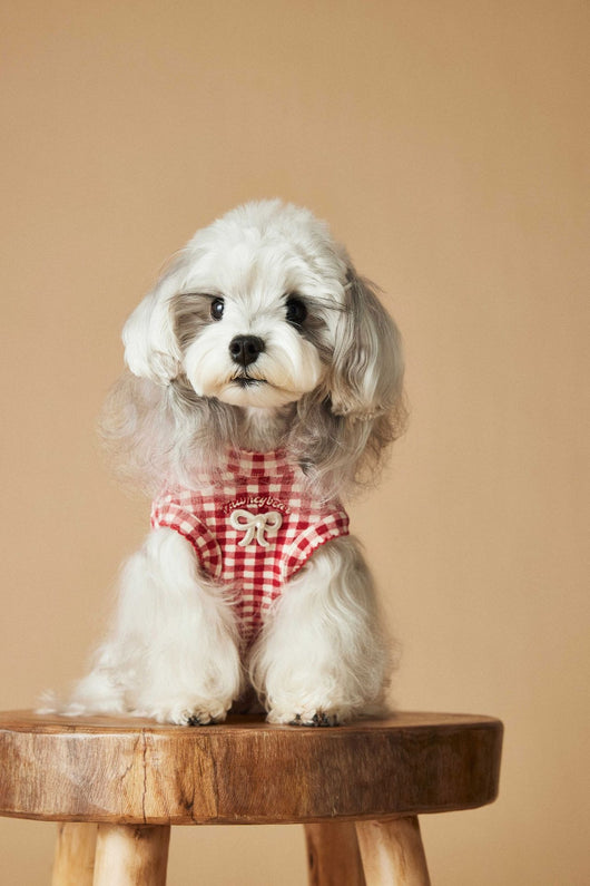 Chaleco Escocés sin Mangas para Perro Maltés y Schnauzer Teddy en Rojo - Image 26