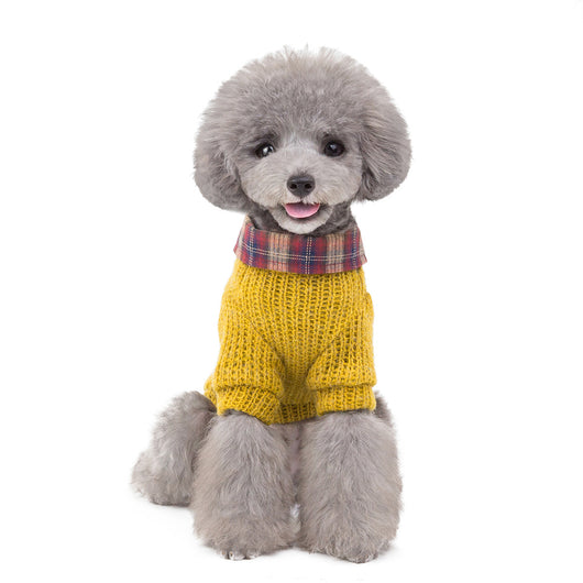Ropa Protectora para Perros y Gatos contra el Viento - Image 3