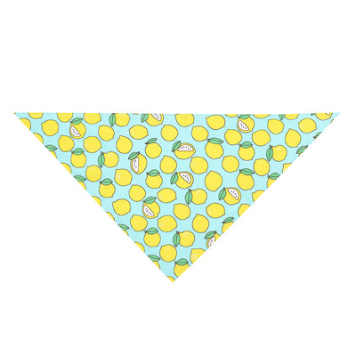 Toalla Absorbente Triangular para Perros - Diseño Frutal Verano - Image 13