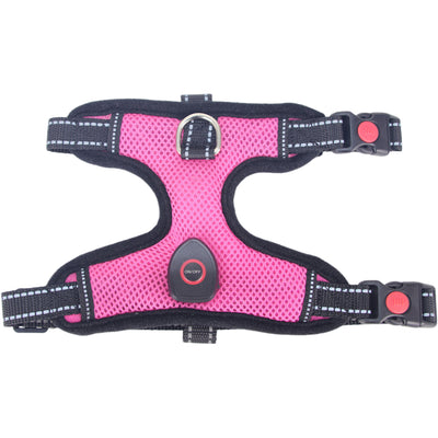 Arnés Luminoso para Mascotas con Carga USB - Image 2