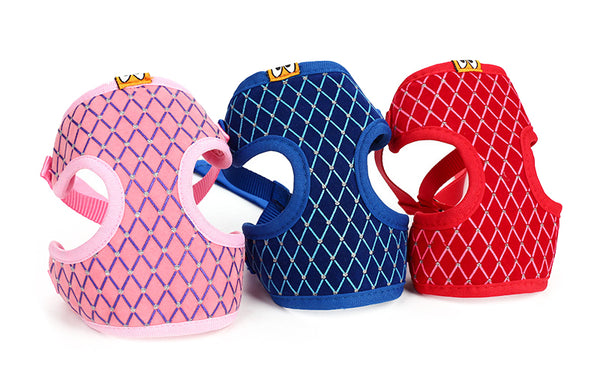 Correa Universal para Perros y Gatos