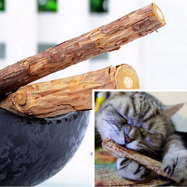 Palos de Matatabi para Gatos - Set 2 Piezas Limpieza Dental y Bienestar