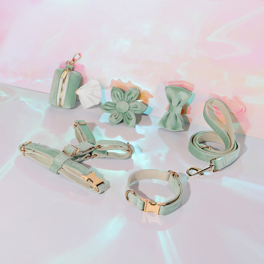 Conjunto de Collar y Correa de Terciopelo Suave para Mascotas - Image 14