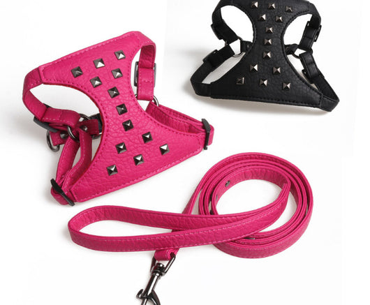 Correa de Cuero Ajustable para Perro con Tachuelas Estilo Premium - Image 16