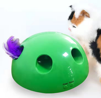 A cute tabby and white kitten with green eyes playing with a bright green dome-shaped interactive cat toy. - Image 5