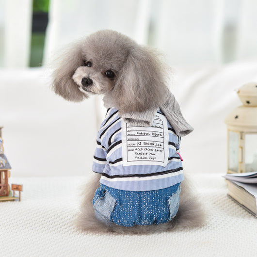 Ropa para Mascotas Bebé
