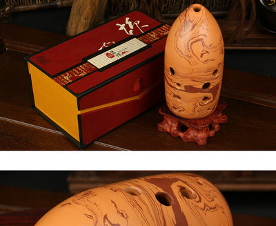 Instrumentos Musicales para Adultos Principiantes - Image 6