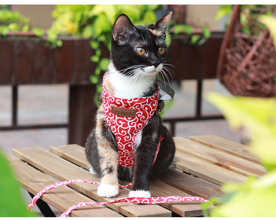 Cuerda de Paseo para Gatos