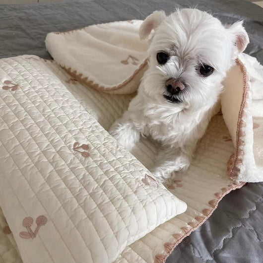 Cama Ortopédica para Perros con Funda Extraíble y Lavable - Image 13