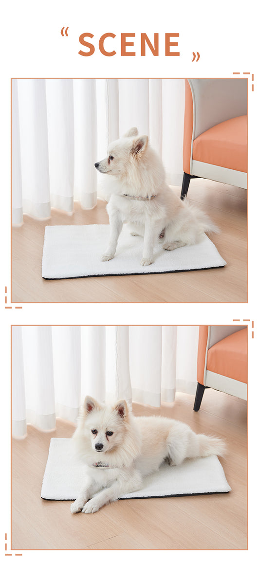Cama Térmica Autocalefactable para Gatos - Almohadilla Caliente Autoprotegida para Invierno - Image 24