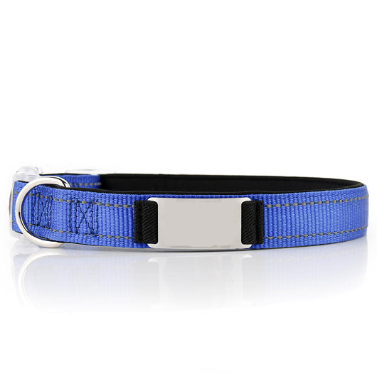 Collar de Perro Personalizado de Nylon - Image 25
