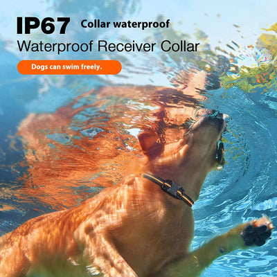 Collar Adiestramiento Canino Resistente al Agua con Control Remoto - Image 3