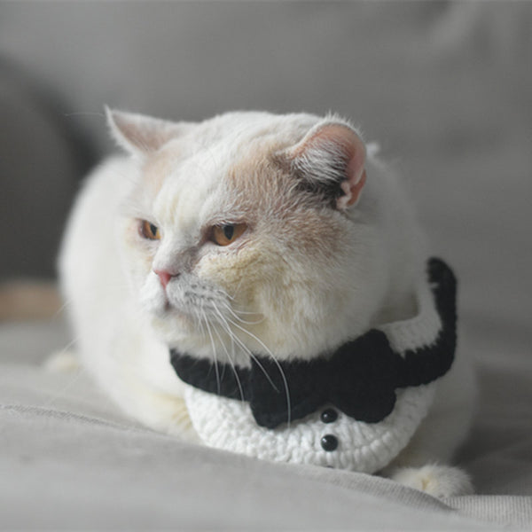 Cuello Tejido para Gato con Sombrero de Mago y Corbata de Caballero