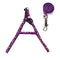 Morado