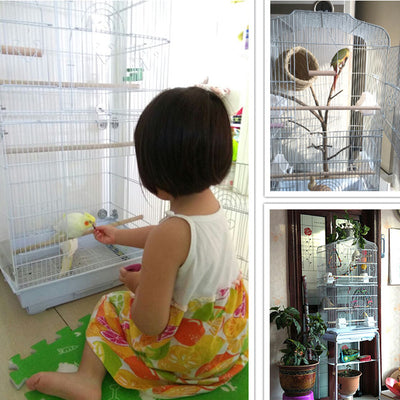 White wire bird cage with arched top, multiple wooden perches, plastic food cups, and two wooden nesting boxes. - Image 9