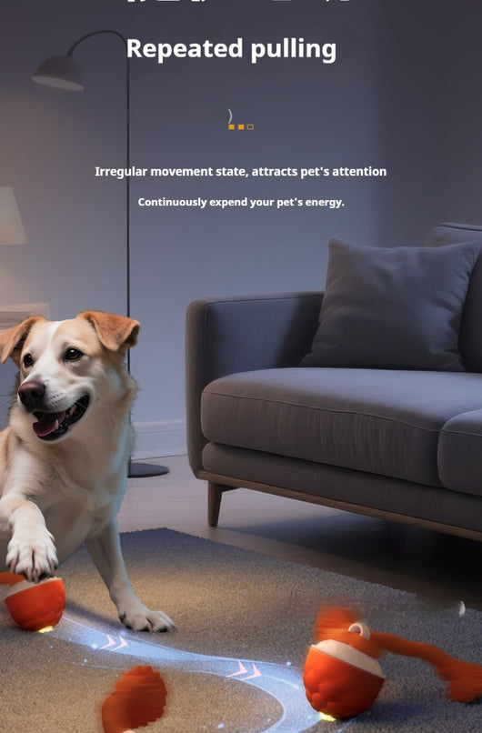 Pelota Interactiva Resistente para Perros con Sonido y Textura Masticable - Image 10