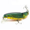 C 7