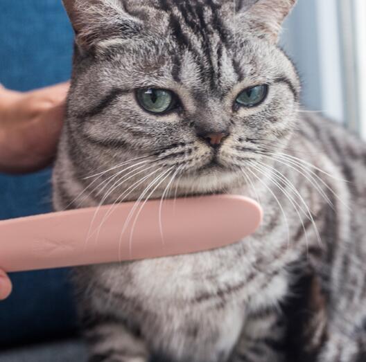Peine Desenredante de Lengua de Gato para Felinos