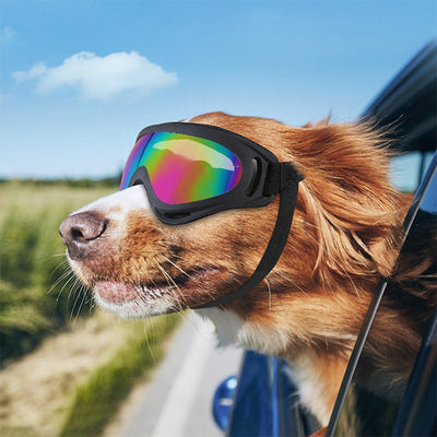 Gafas Protectoras Antiaire para Perros - Image 10