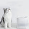 Dispensador Inteligente de Agua para Mascotas con Filtro Inalámbrico