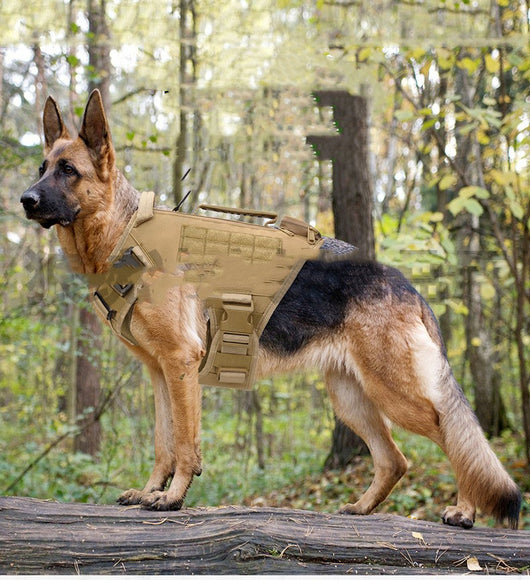 Arnés Táctico de Entrenamiento para Perros - Image 15