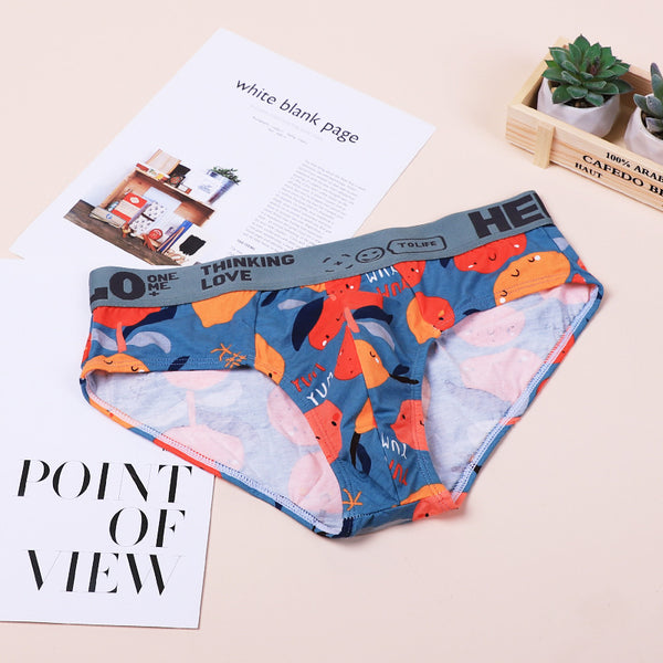 Calzoncillos Talla Grande para Niños en Algodón Premium
